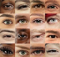 How Do Eye Colors Work?